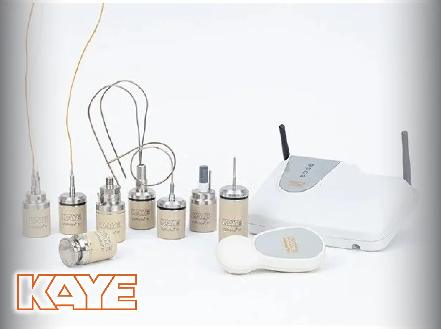 KAYE Wireless (RF) ValProbe RT System.
